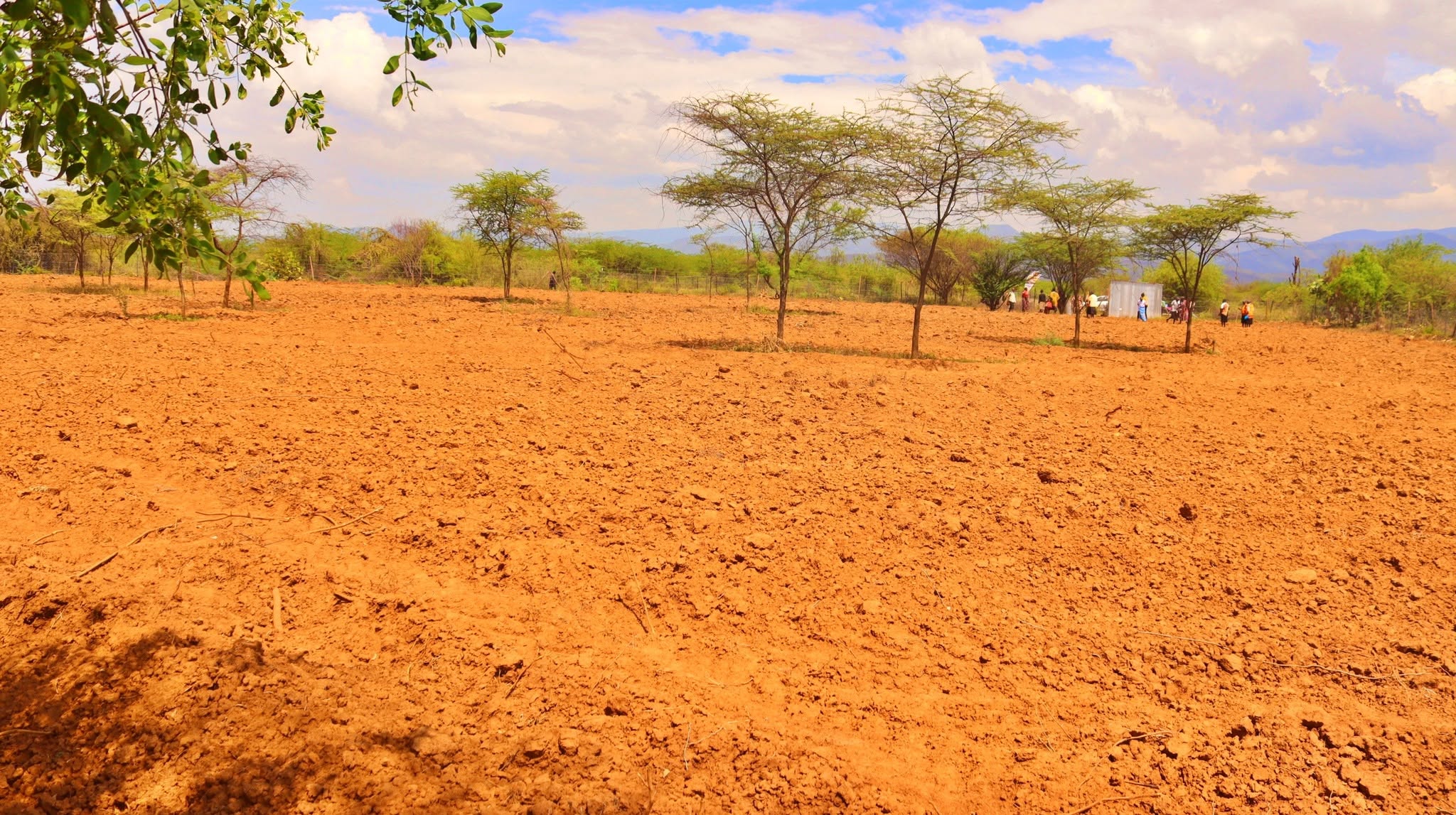 EIWEN agroecology