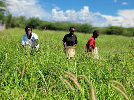 EIWEN Indigenous community project